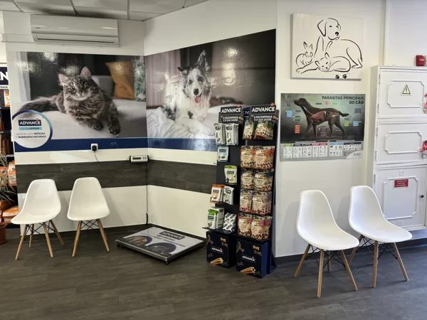 Sala de espera do Cão