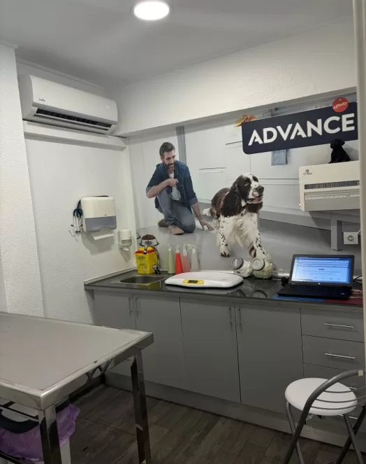Consultório do Cão